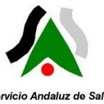 sas_logo